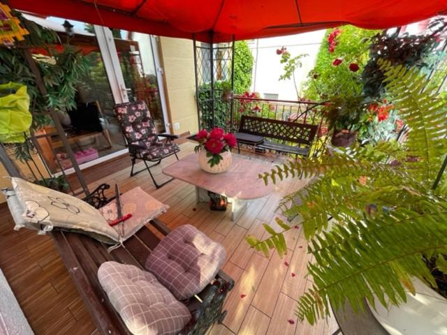 Homestay Carmen Kolobrzeg
