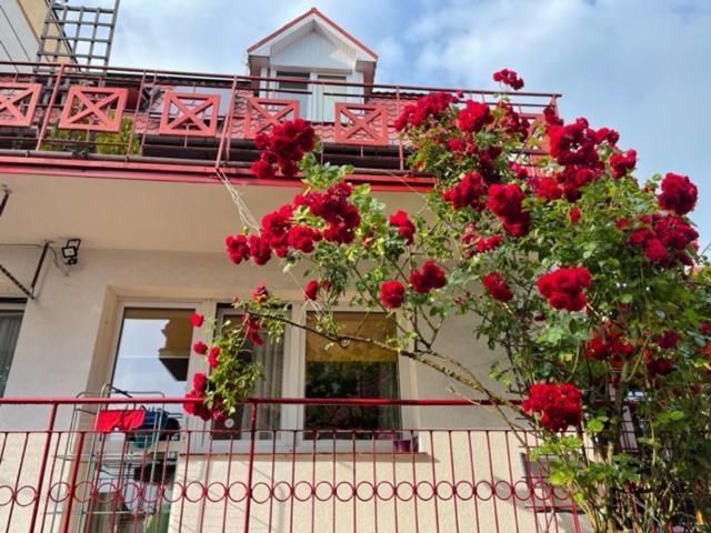 Homestay Carmen